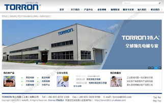 松江區(qū)域網(wǎng)站建設(shè)與軟件應(yīng)用服務(wù)概述